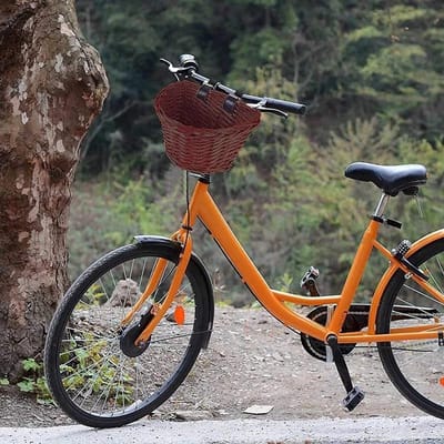 Fietsmand - Stuurmand - Boodschappen Vervoeren - Quick-release Systeem - 35x26x22cm - Bruin