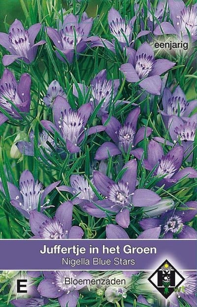Van Hemert - Juffertje In Het Groen Blue Stars (Nigella)