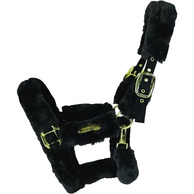 Kentucky Horsewear - Halster - Transport halster - Wol/Bont - Zwart - Full