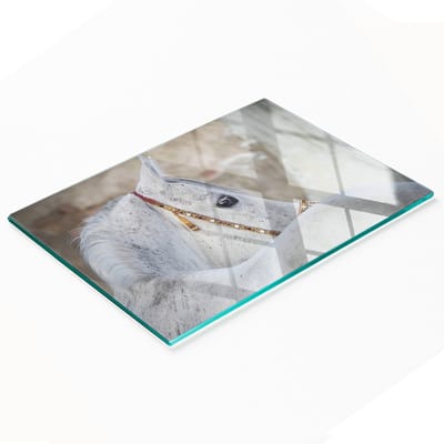 Duurzame en stijlvolle glazen snijplank met Arabisch paardenpatroon 80x52 cm
