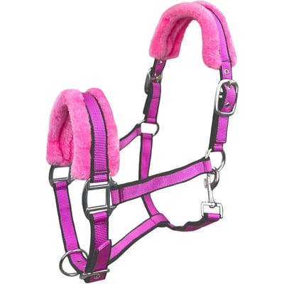 Bont halster voor paard York Benny