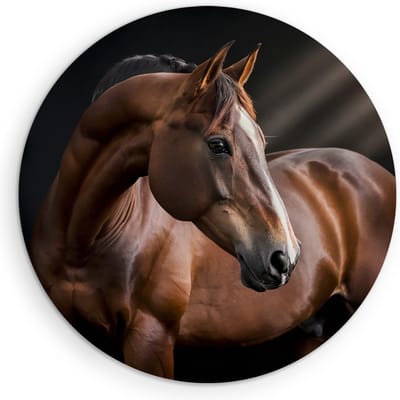 Saammp Muurcirkel Hout - Paard in zonlicht - Dieren - Natuur - Ø 90 - Wandcirkel - Wanddecoratie Cirkel - muurdecoratie Woonkamer - Slaapkamer decoratie - Rond Schilderij