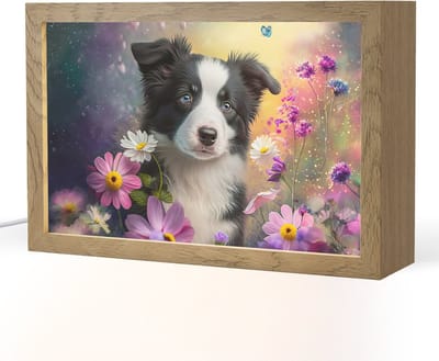 Nachtlampje 30x20 cm - Kinder lampje - Hond - Bloemen - Natuur - Puppy - Bordercollie - Tafellamp kinderkamer - Slaapkamer lamp - Bedlamp kinderen - Kinderlampje stopcontact - Wandlamp babykamer - Nachtlampjes