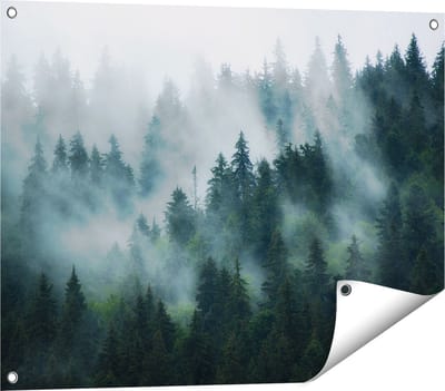 Gards Tuinposter Bos met Bomen in de Mist - 80x60 cm - Tuindoek - Tuindecoratie - Wanddecoratie buiten - Tuinschilderij