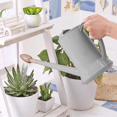 Grote 2 Liter Gieter met Lange Tuit en Afneembare Spuitkop voor Binnen- en Buitentuinen, Ideaal voor Planten, Bloemen en Bonsai