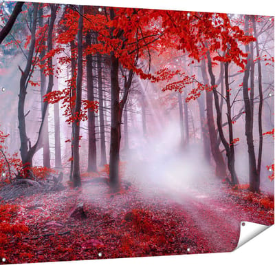 Gards Tuinposter Rood Bos met Bomen - 150x120 cm - Tuindoek - Tuindecoratie - Wanddecoratie buiten - Tuinschilderij