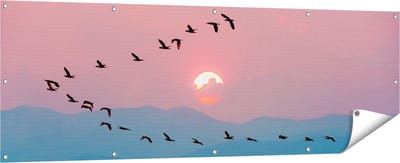 Gards Tuinposter Silhouet van Zwerm Vogels bij Zonsondergang - 180x60 cm - Tuindoek - Tuindecoratie - Wanddecoratie buiten - Tuinschilderij