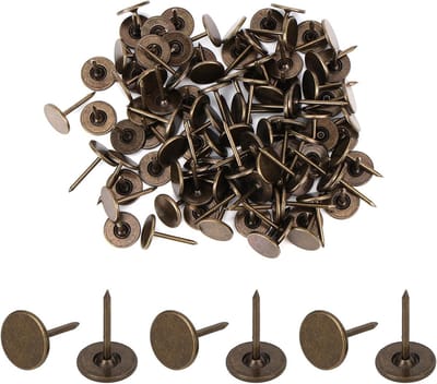 100 Stuks Platte Duimspijkers Decoratieve Nagel voor Prikborden en Wanddecoratie