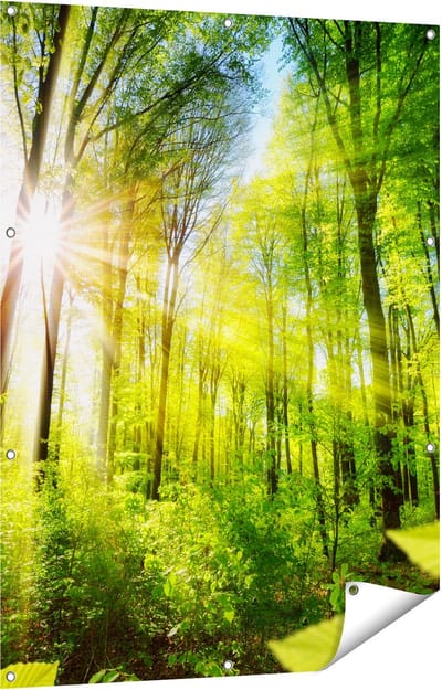 Gards Tuinposter Weg Omringd met Bomen in het Bos - 90x120 cm - Tuindoek - Tuindecoratie - Wanddecoratie buiten - Tuinschilderij