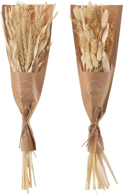 J-Line droogbloemen - Bundel gedroogde Avana gras - naturel - 2 stuks