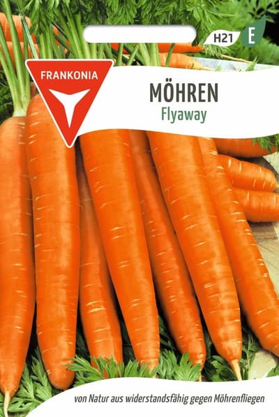 Wortel, Flyaway F1 - Groentezaden Wortelzaden Zaden