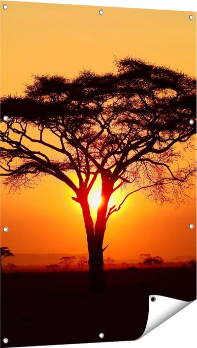 Gards Tuinposter Zonsondergang Achter een Savanne Boom - 80x120 cm - Tuindoek - Tuindecoratie - Wanddecoratie buiten - Tuinschilderij