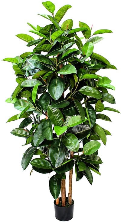 Ficus Kunstplant Elastica 180cm