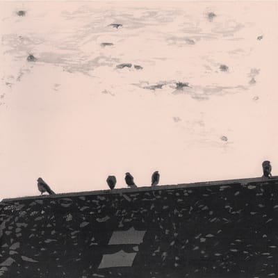 Stuart A. Staples - Arrhythmia (CD)