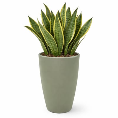 Mega Collections Plantenpot / bloempot Essence Egg pot - kunststof - olijf groen - binnen/buiten - D45 x H53 cm