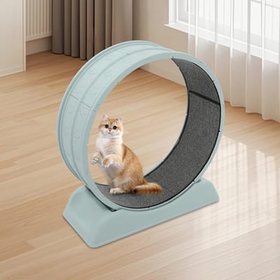 Kattenloopfiets - Dierenwiel - Binnen sporten - Fluisterstille loop - 80 cm diameter - Blauw