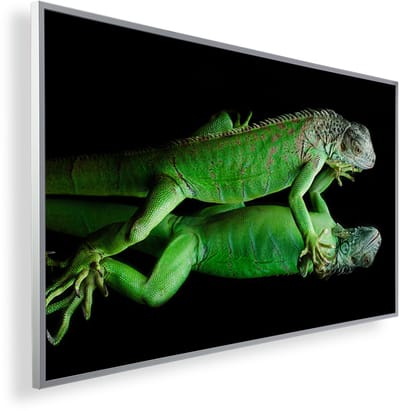 Infrarood Verwarmingspaneel 450W met fotomotief en Smart Thermostaat (5 jaar Garantie) - Salamanda 87