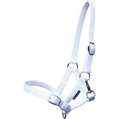 Harry's Horse Veulenhalster paard Full Veulen Wit