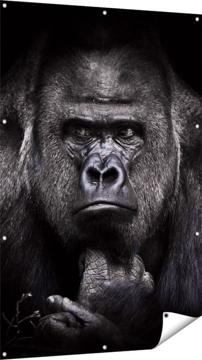 Gards Tuinposter Gorilla - Zwart Wit - 100x150 cm - Tuindoek - Tuindecoratie - Wanddecoratie buiten - Tuinschilderij