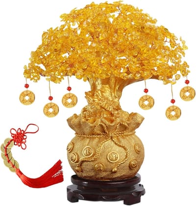 Feng Shui Geldboom Bonsai voor Thuis en Kantoor, Geluk Brengen en Rijkdom Aantrekken met Decoratieve Planten