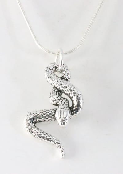 Zilveren slang hanger aan ketting