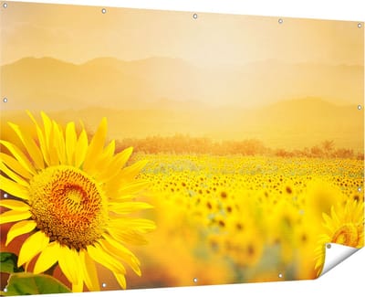 Gards Tuinposter Zonnebloemen Veld met Zonopkomst - 180x120 cm - Tuindoek - Tuindecoratie - Wanddecoratie buiten - Tuinschilderij