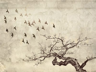 Fotobehang - Flock of birds.
