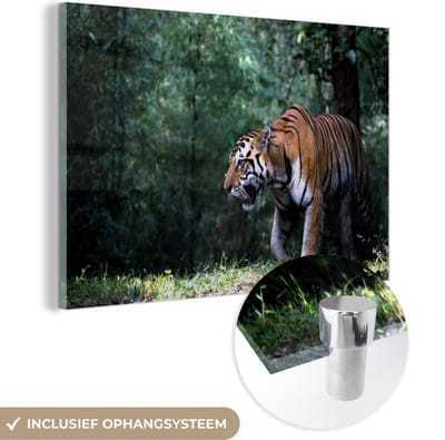 MuchoWow® Glasschilderij 60x40 cm - Schilderij acrylglas - Tijger - Bos - Bomen - Foto op glas - Schilderijen