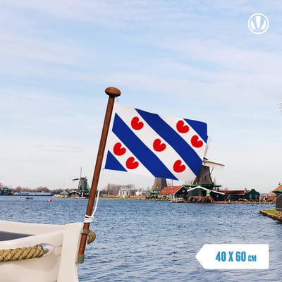 Friese vlag 40x60cm