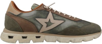 CETTI C1259 XL V26 Groen 43 EU