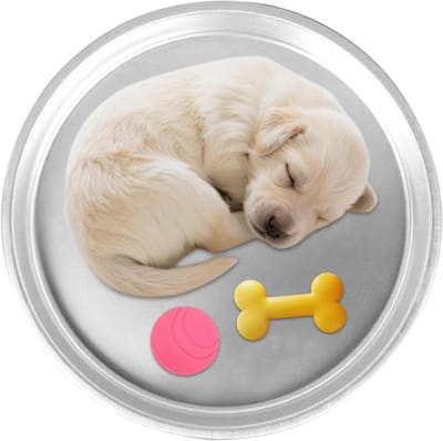 Honden Koelmat - Verkoelend Hondentegel - Zomerse Verkoeling - Directe Koelte Zonder Stroom - 40 Cm - Aluminium