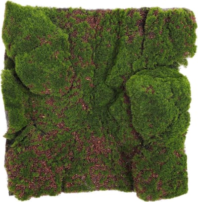 Kunstmatige Mosmat - Nepgras Gazon - Decoratie Binnen Buiten - Onderhoudsvrij Levensecht - 30x30 cm - Groen