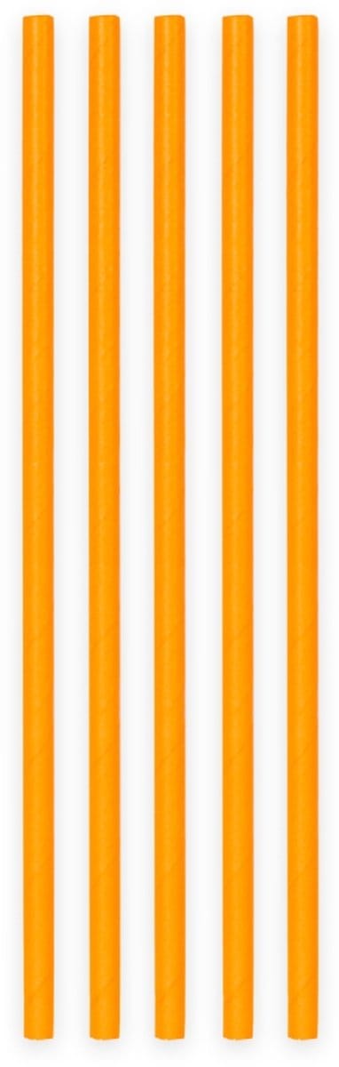 40 Papieren Rietjes Uni Oranje - 6mm x 197mm - Set van 2 Pakjes (40 stuks) - Koningsdag, Oranje supporters & Nederland feestversiering