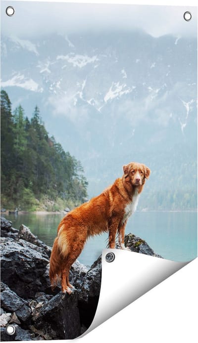 Gards Tuinposter Retriever Hond bij het Water in de Bergen - 40x60 cm - Tuindoek - Tuindecoratie - Wanddecoratie buiten - Tuinschilderij