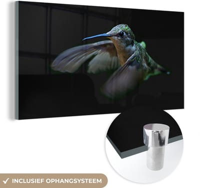 MuchoWow® Glasschilderij 40x20 cm - Schilderij acrylglas - Kolibrie - Vogel - Veren - Zwart - Foto op glas - Schilderijen