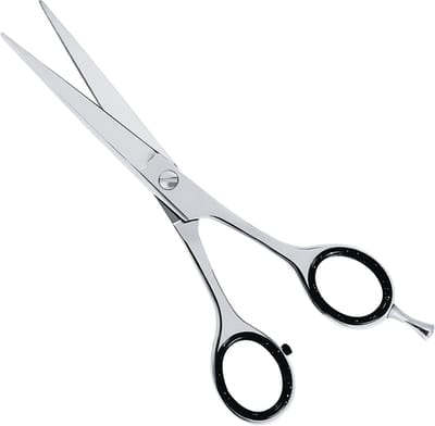 Guardian Beauty Schaar - 6 Inch - Roestvrij Staal - Knipschaar met Etui - Kappersgereedschap