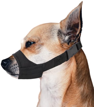 Dailygoods- Hondensnuit Korte Snuit - Muilkorf Kleine/Middelgrote Hond - Anti Bijten/Blaffen - Zwart - Oxford-Stof/PVC Voering - Snuitomtrek 8,9-10,8cm