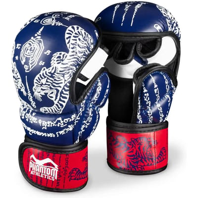 Thaise Trainingsboxhandschoenen Phantom Athletics
