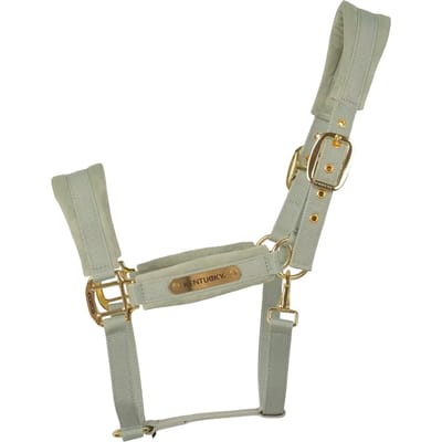 Kentucky Horsewear - Velvet halster mint cob