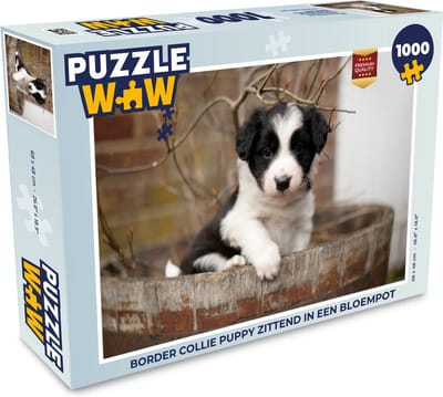 Puzzel Border collie puppy zittend in een bloempot - Legpuzzel - Puzzel 1000 stukjes volwassenen