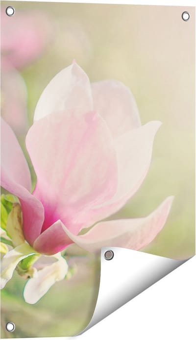 Gards Tuinposter Roze Magnolia Bloem - 40x60 cm - Tuindoek - Tuindecoratie - Wanddecoratie buiten - Tuinschilderij