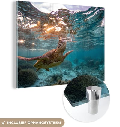 MuchoWow® Glasschilderij 120x90 cm - Schilderij acrylglas - Zee - Schildpad - Kleuren - Foto op glas - Muurdecoratie woonkamer - Wanddecoratie slaapkamer - Schilderijen