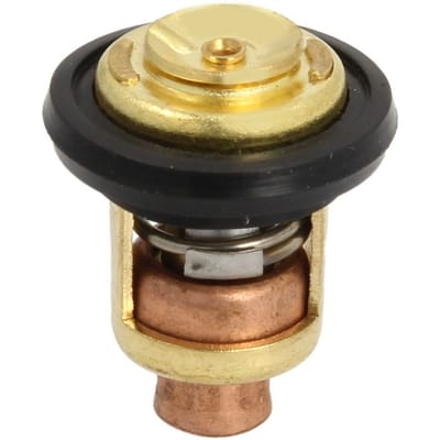 Thermostaat PARSUN F15-07000031
