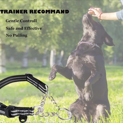 Reflecterende nylon choke halsband voor grote honden - veilig en comfortabel, 44-56 cm