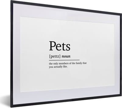 Fotolijst incl. Poster - Quotes - Pets - Huisdieren definitie - Woordenboek - Spreuken - 40x30 cm - Posterlijst
