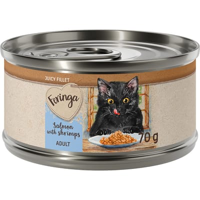 12x70g Zalm met Garnalen Feringa Juicy Fillet Katten Natvoer