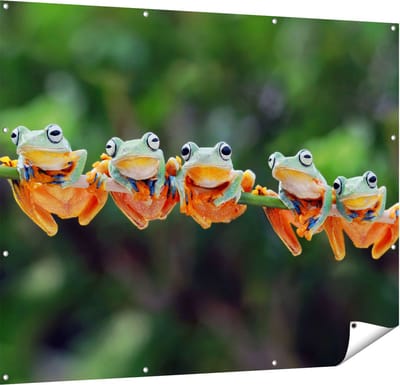 Gards Tuinposter Groep Kikkers op een Tak - 150x120 cm - Tuindoek - Tuindecoratie - Wanddecoratie buiten - Tuinschilderij