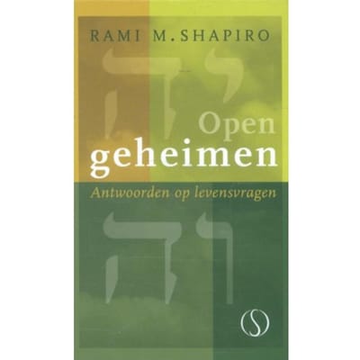 Open Geheimen - Rami M. Shapiro