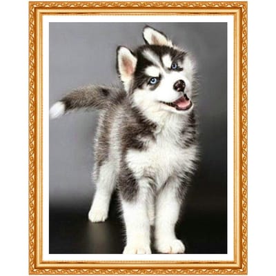 Bricolage, broderie de diamant Husky, chien, peinture de diamant 5d d'animaux, strass complets, point de croix 20X30CM gray