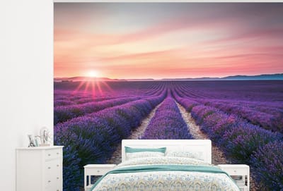 Behang - Fotobehang Lavendel - Paars - Bloemen - Breedte 375 cm x hoogte 300 cm